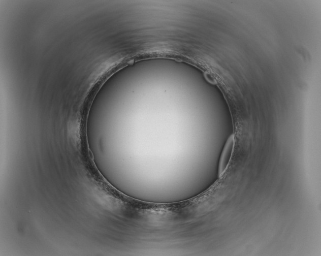 X0000111890112200907231605