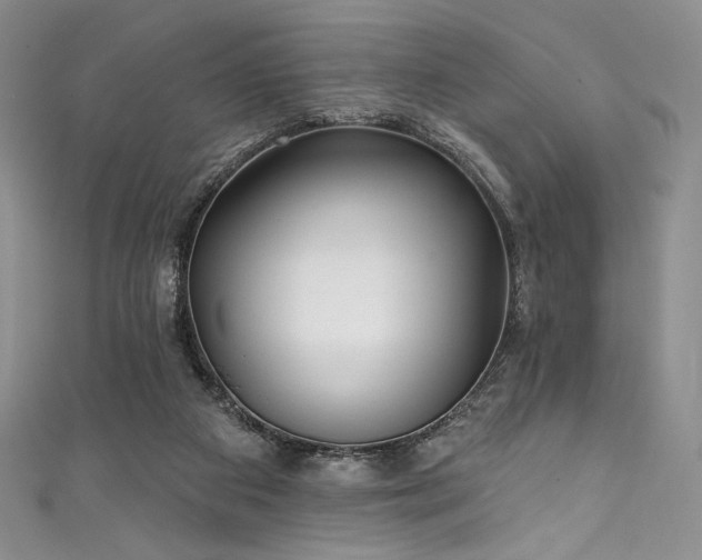 X0000111890113200907231605