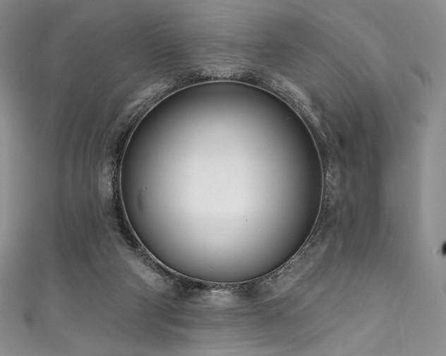 X0000111890114200907231605