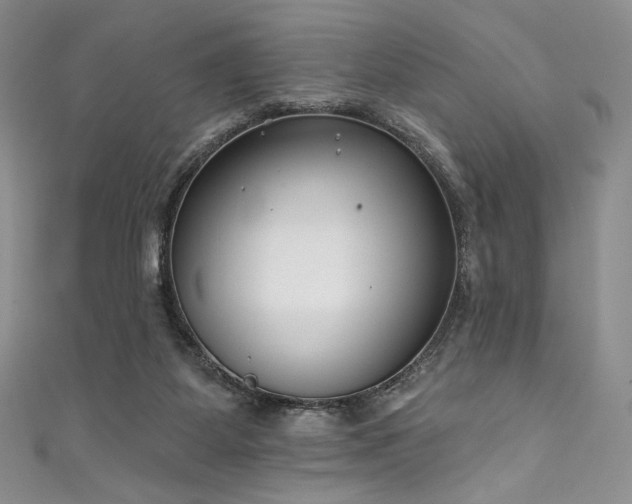 X0000111890115200907231605