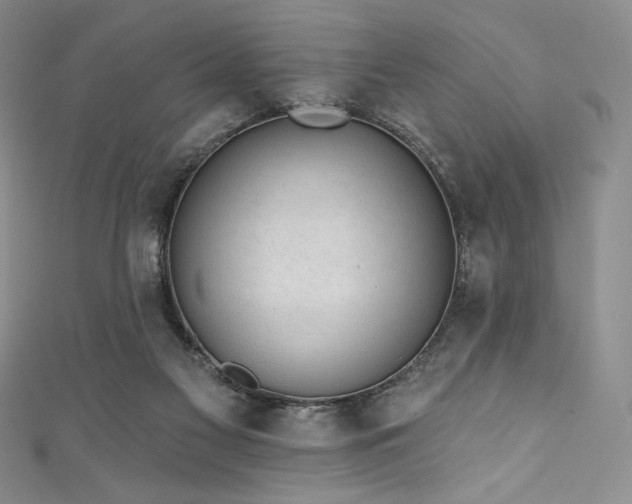 X0000111890117200907231605