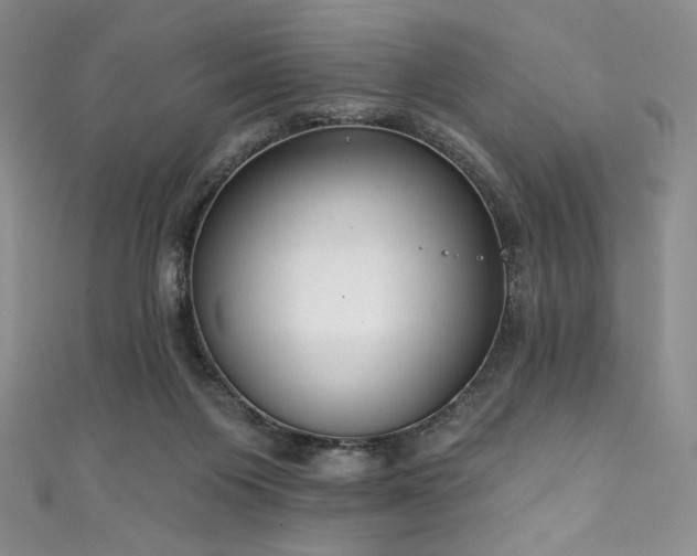 X0000111890119200907231605