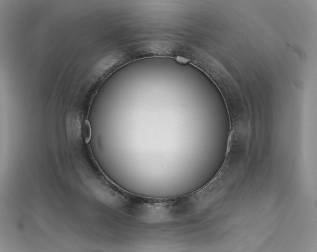 X0000111890120200907231605