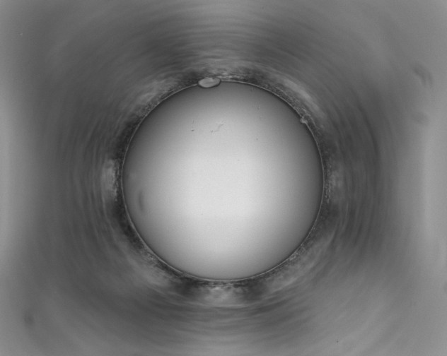 X0000111890121200907231605