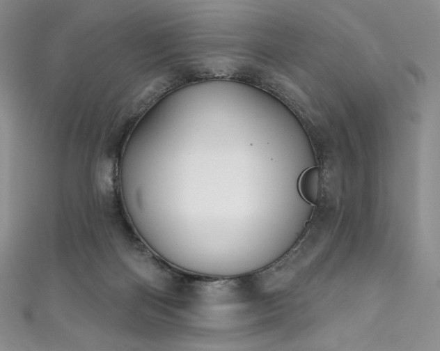 X0000111890122200907231605