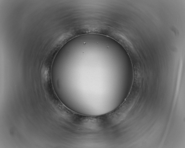 X0000111890123200907231605