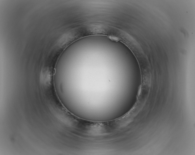 X0000111890124200907231605