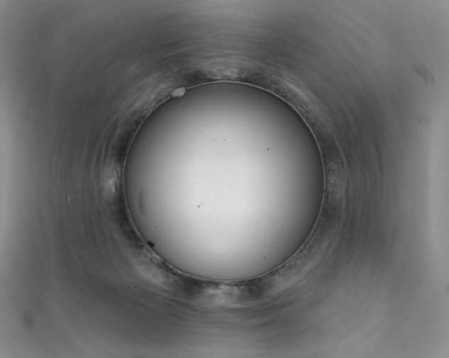 X0000111890125200907231605