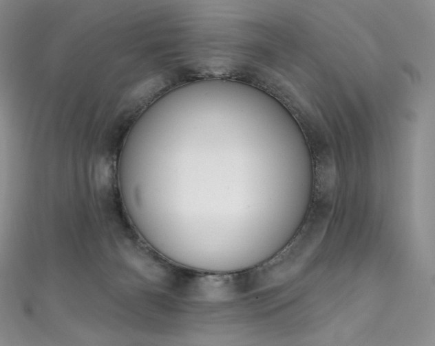 X0000111890126200907231604