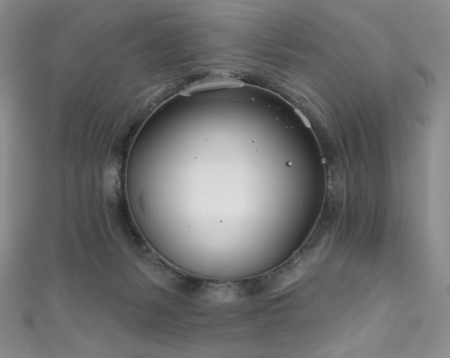 X0000111890127200907231604