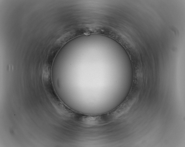 X0000111890129200907231604