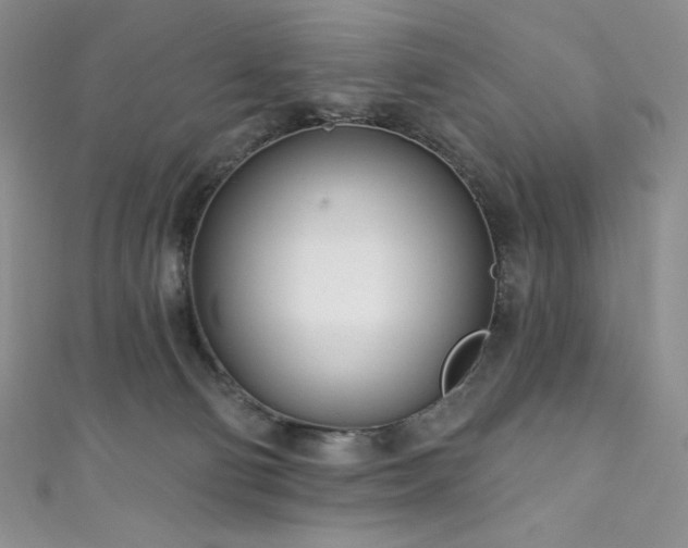 X0000111890130200907231604