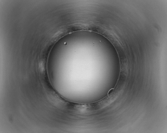 X0000111890131200907231604