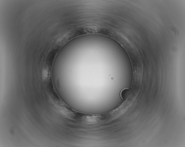 X0000111890134200907231604