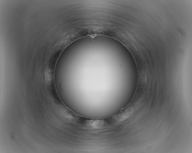 X0000111890135200907231604