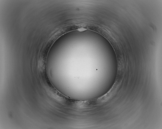 X0000111890136200907231604