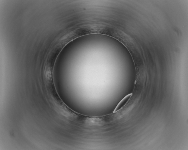 X0000111890137200907231604