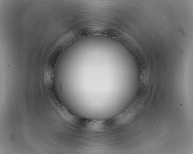 X0000111890138200907231604