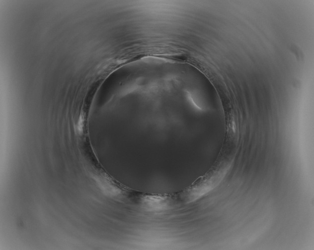 X0000111890139200907231604