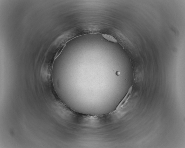 X0000111890140200907231604