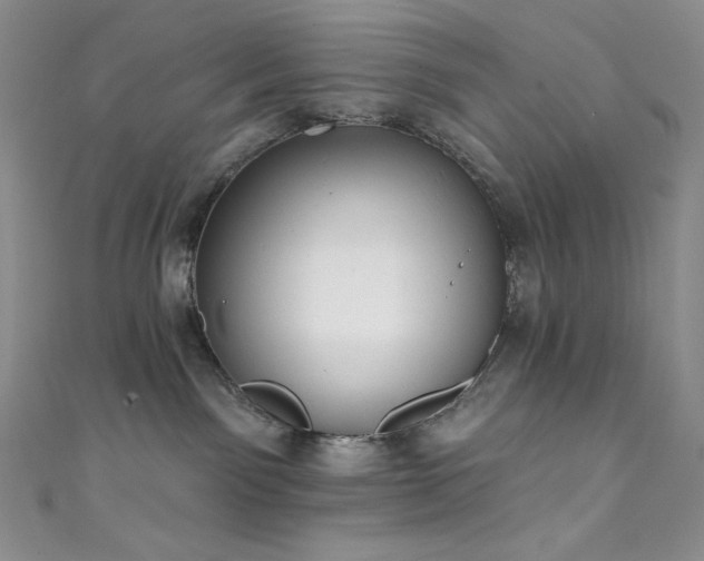 X0000111890141200907231604