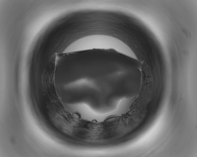 X0000111890143200907231604