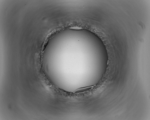 X0000111890144200907231604