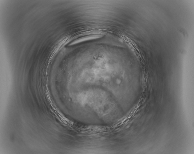 X0000111890145200907231603