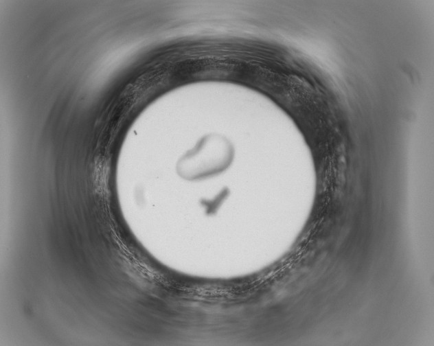 X0000111890146200907231603