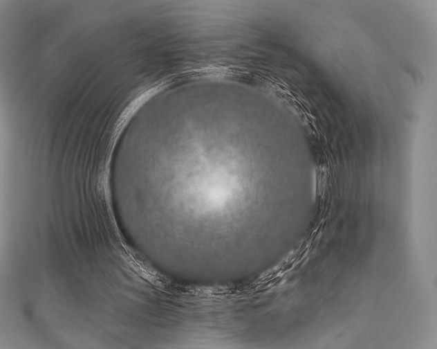 X0000111890147200907231603