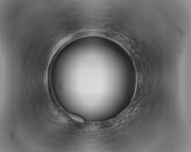 X0000111890148200907231603