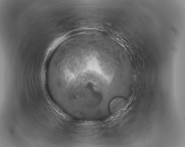 X0000111890149200907231603