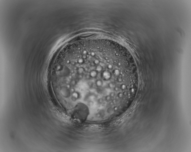 X0000111890151200907231604