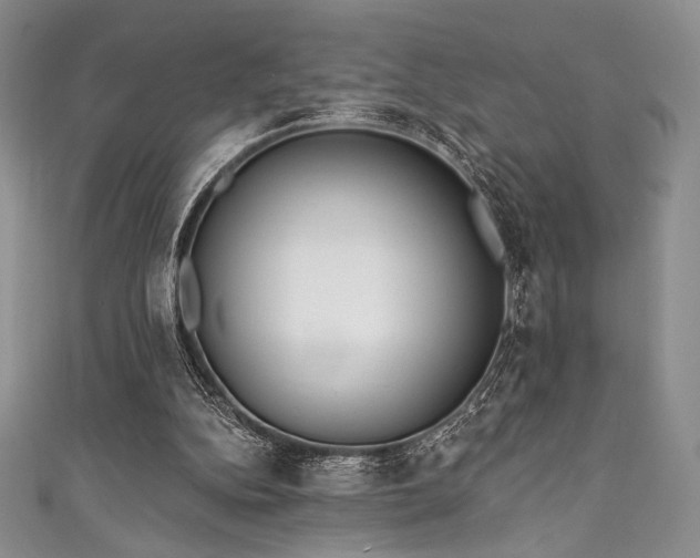 X0000111890152200907231604