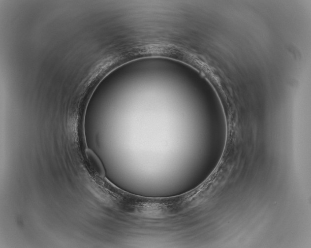 X0000111890154200907231604