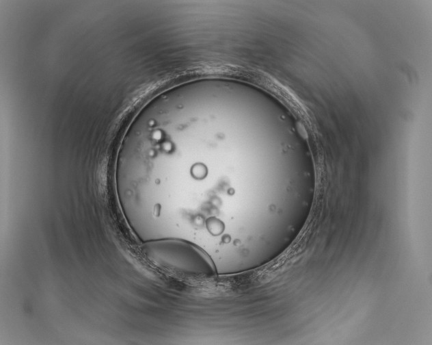 X0000111890155200907231604