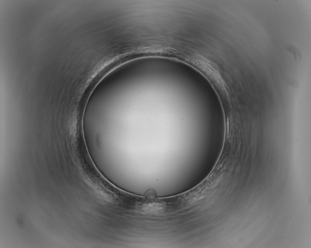 X0000111890156200907231604