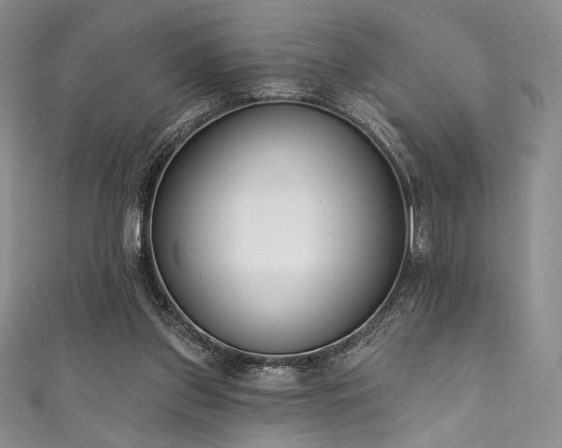 X0000111890157200907231604