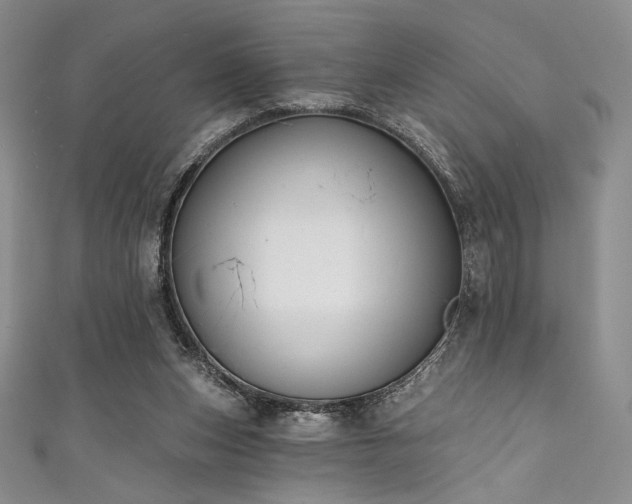 X0000111890159200907231604