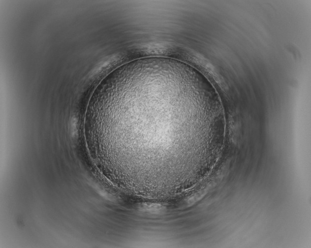 X0000111890161200907231604