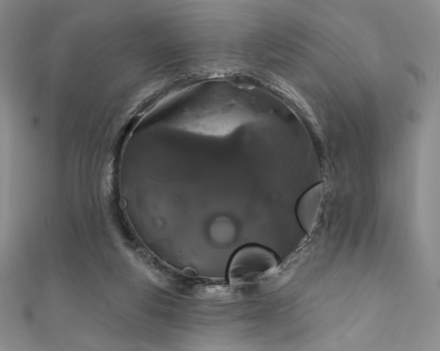 X0000111890163200907231604