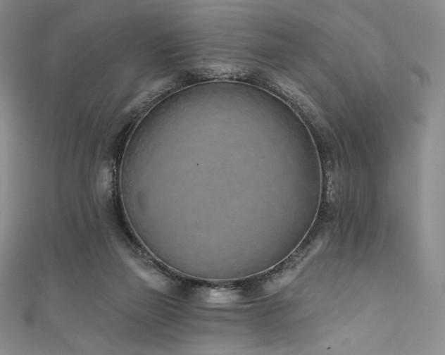 X0000111890165200907231604