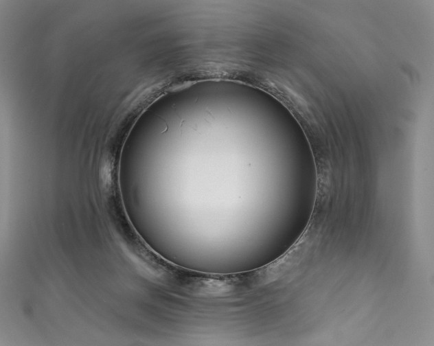 X0000111890166200907231604