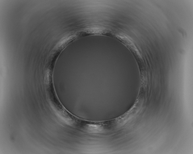 X0000111890167200907231604