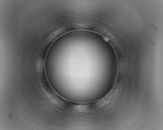 X0000111890168200907231604