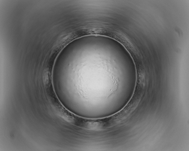 X0000111890169200907231604