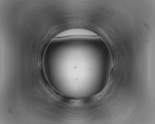 X0000111890170200907231604