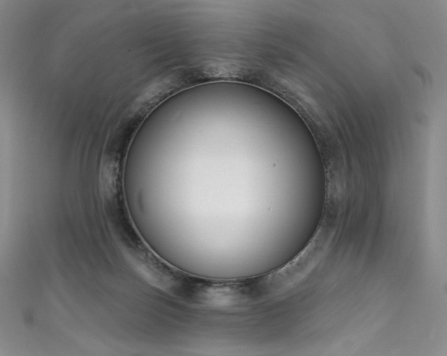 X0000111890171200907231604