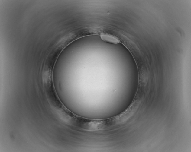 X0000111890172200907231604