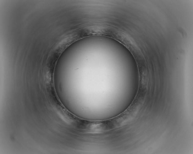 X0000111890173200907231604